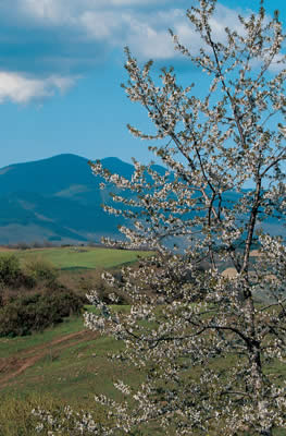 Vista dal parco Faunistico a primavera
